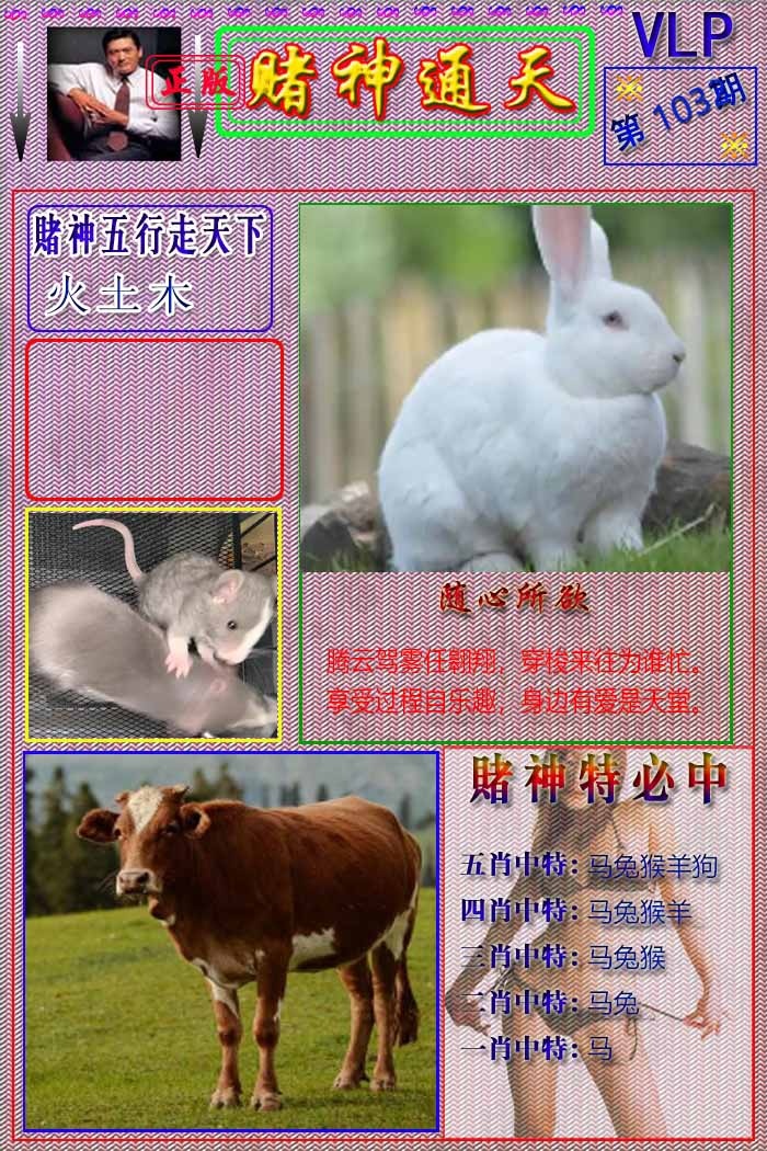 六合彩103期赌神通天报
