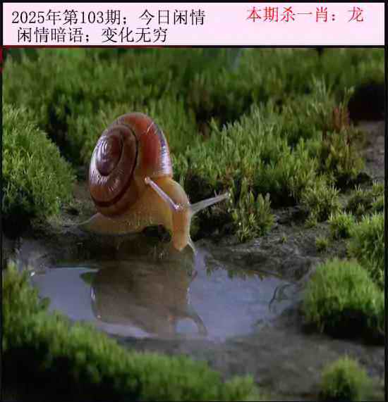六合彩103期今日闲情