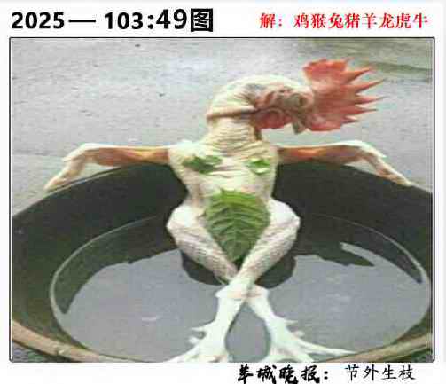 六合彩103期49图