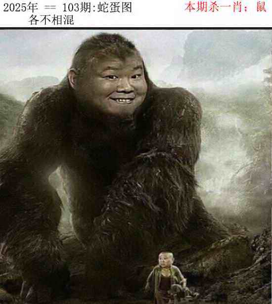 六合彩103期正版蛇蛋图