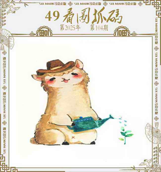 六合彩104期49看图抓码