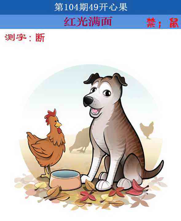 六合彩104期四九开心果