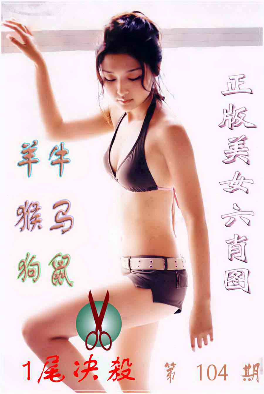 六合彩104期美女六肖图B