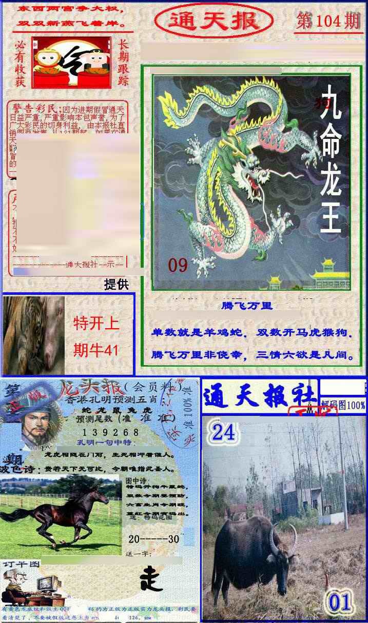 六合彩104期实力通天报