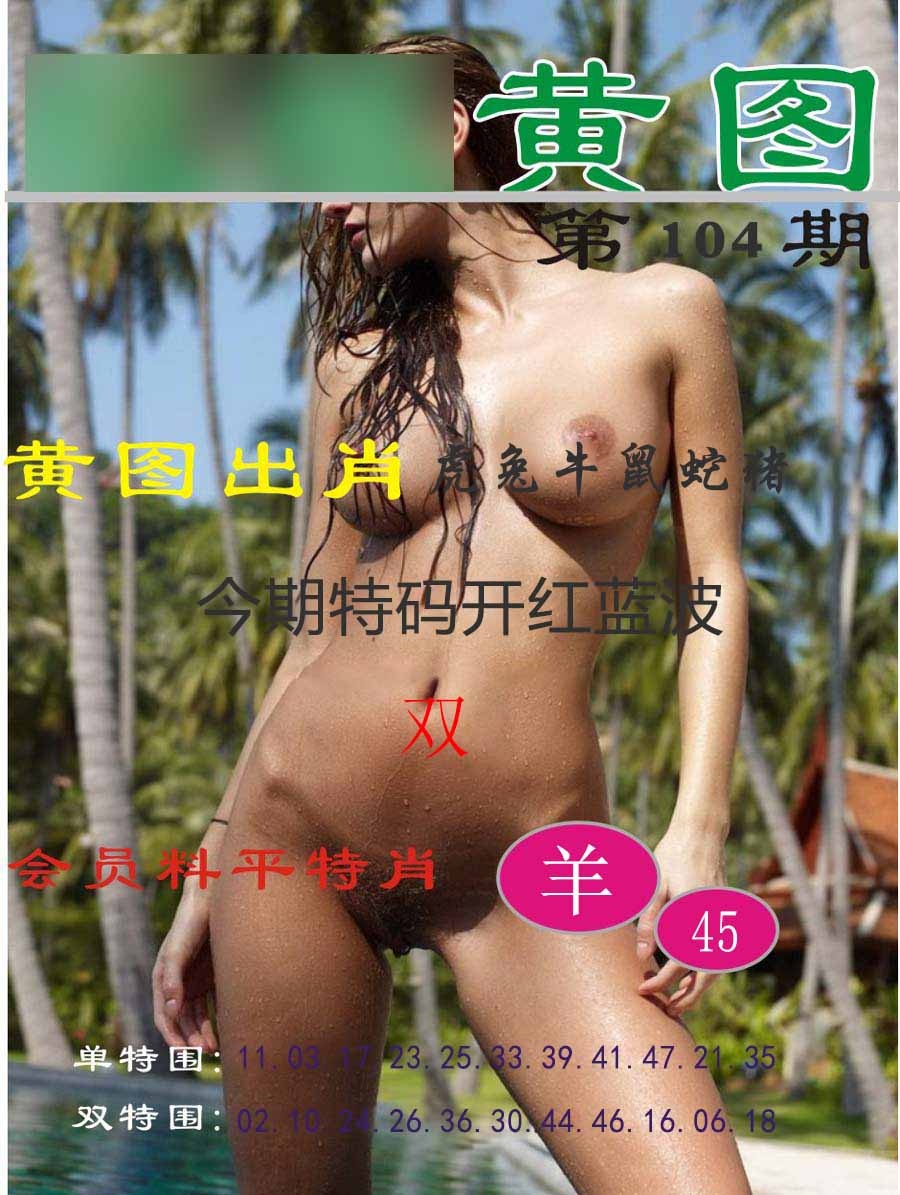 六合彩104期黄图
