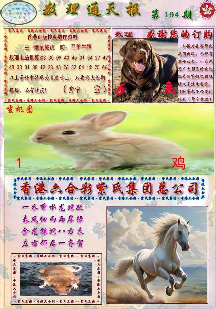 六合彩104期数通报
