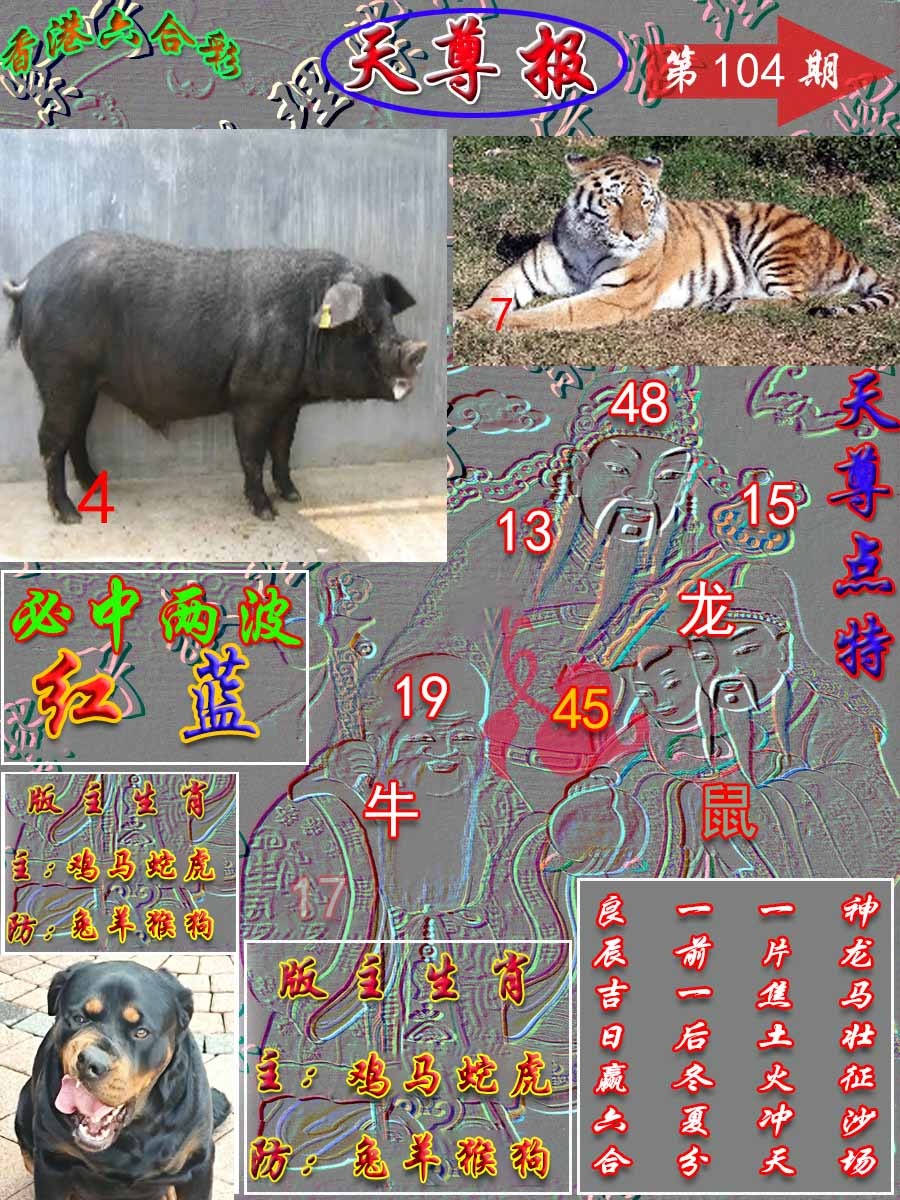六合彩104期天尊报