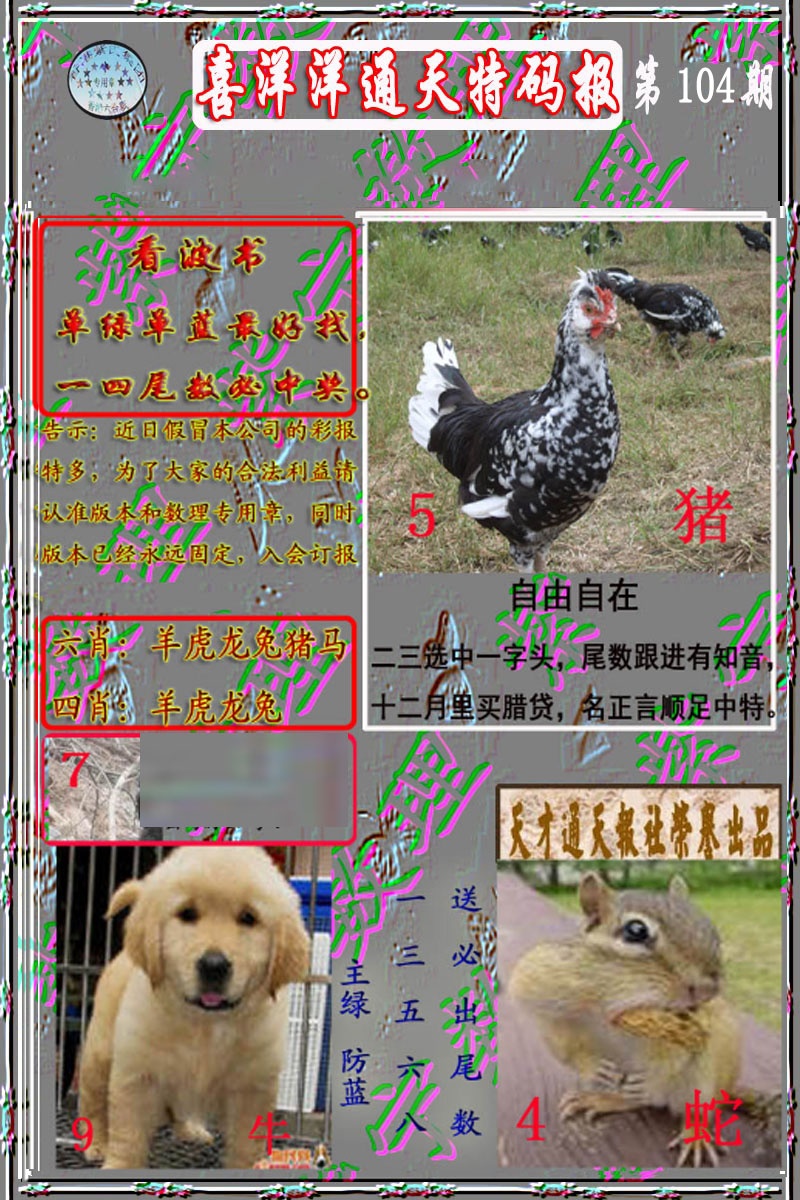 六合彩104期洋通报