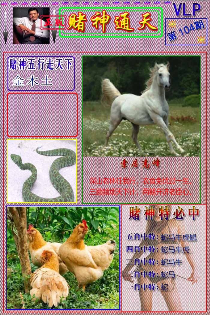 六合彩104期赌神通天报
