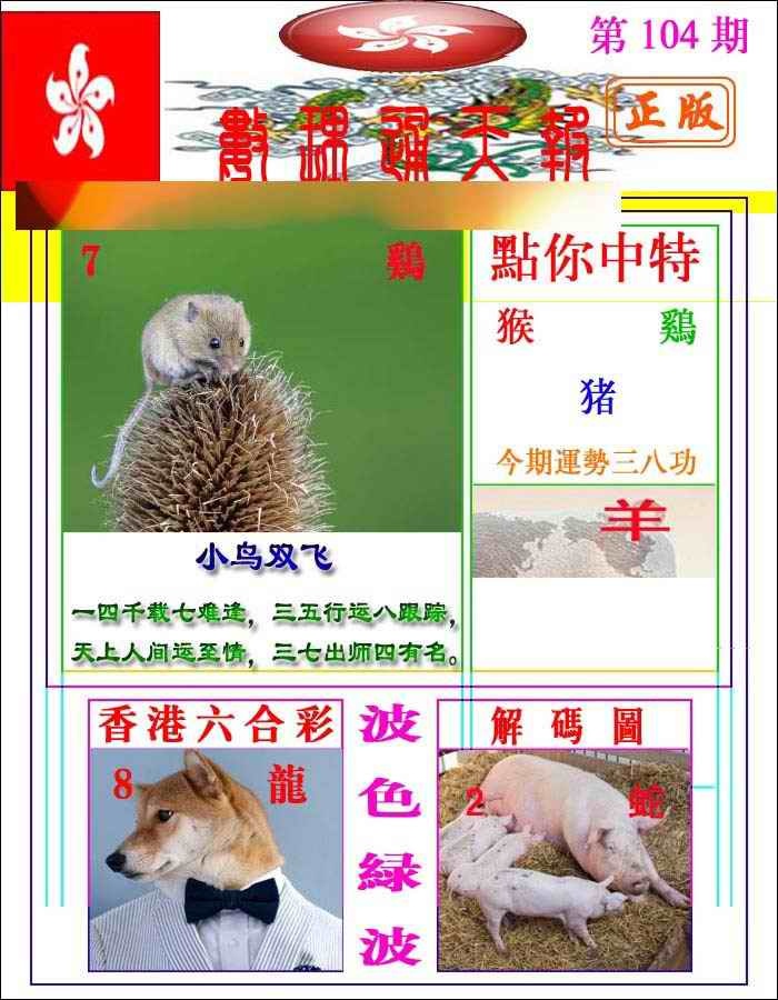 六合彩104期数理通天