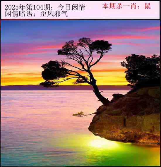 六合彩104期今日闲情