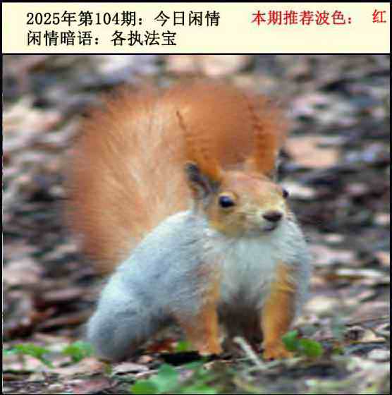 六合彩104期今日闲情2