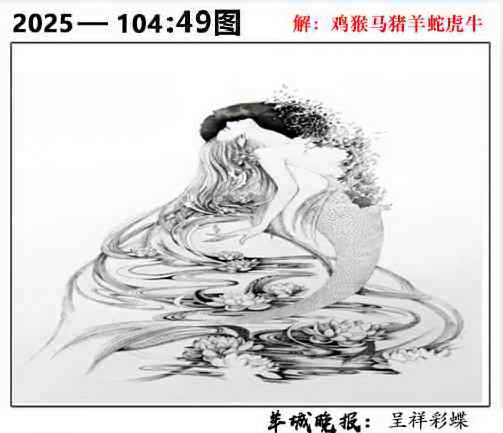 六合彩104期49图
