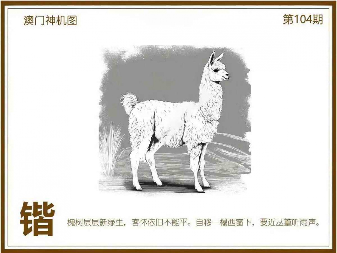 六合彩104期澳门神机图