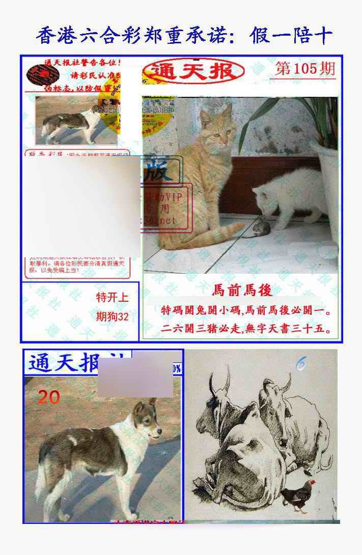 六合彩105期假一陪十通天报