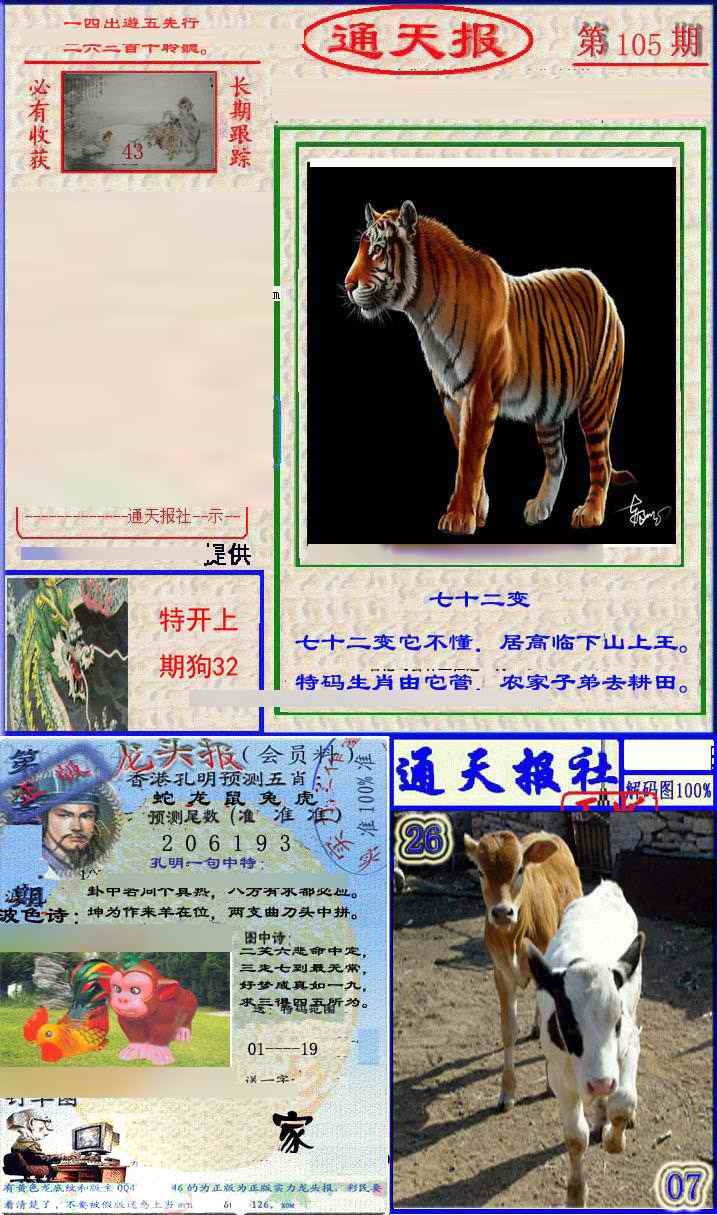 六合彩105期实力通天报