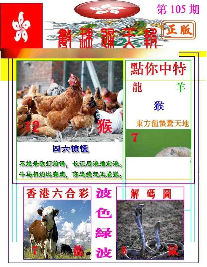 六合彩105期数理通天