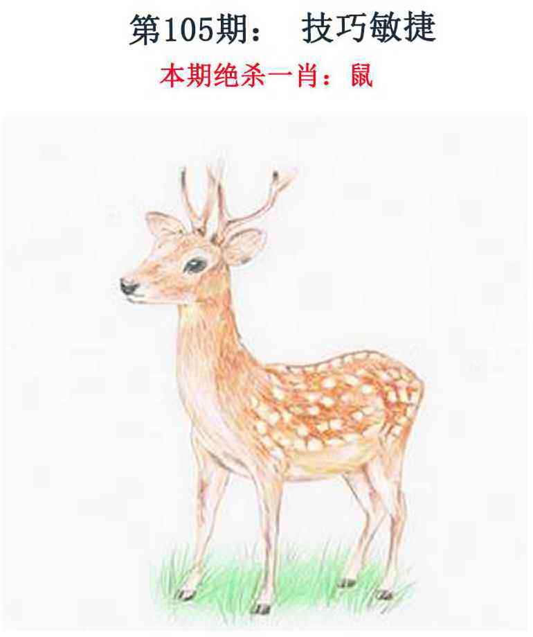 六合彩105期金钱豹自有真功夫