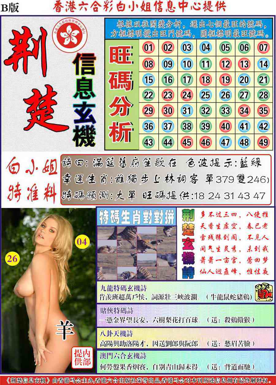 六合彩106期荆楚信息玄机B