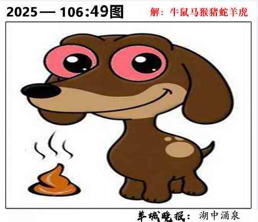 六合彩106期49图
