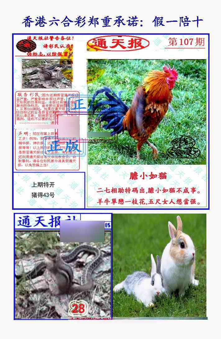 六合彩107期假一陪十通天报