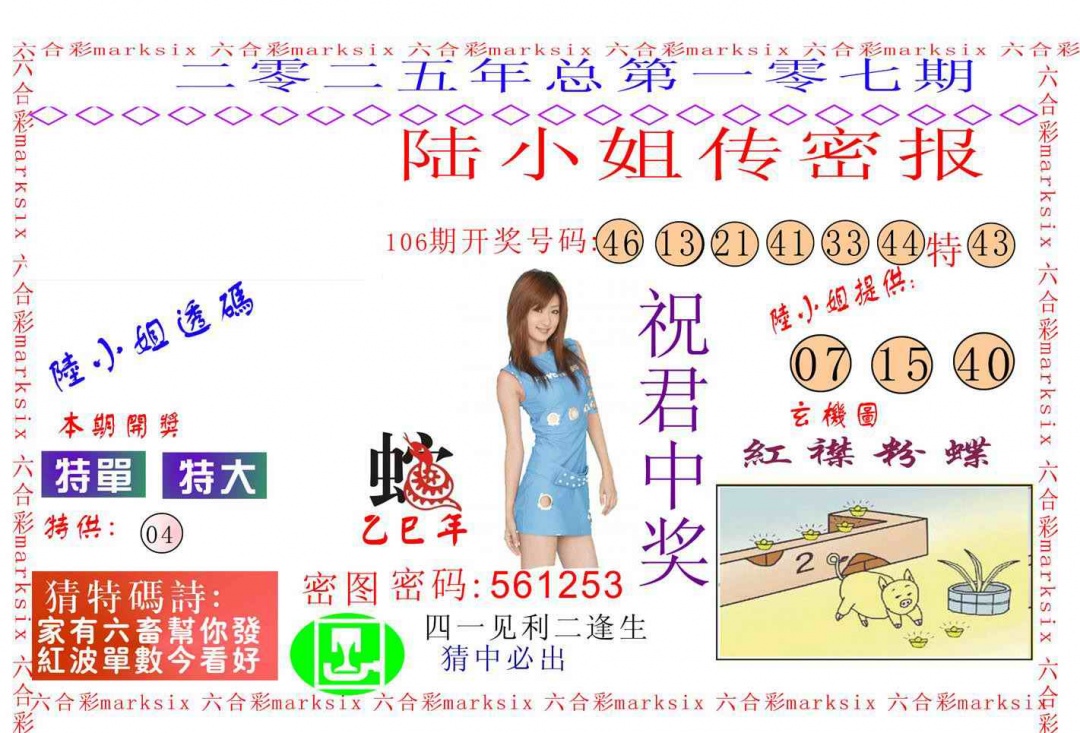 六合彩107期陆小姐传密A