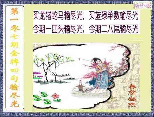 六合彩107期金牌四句输尽光