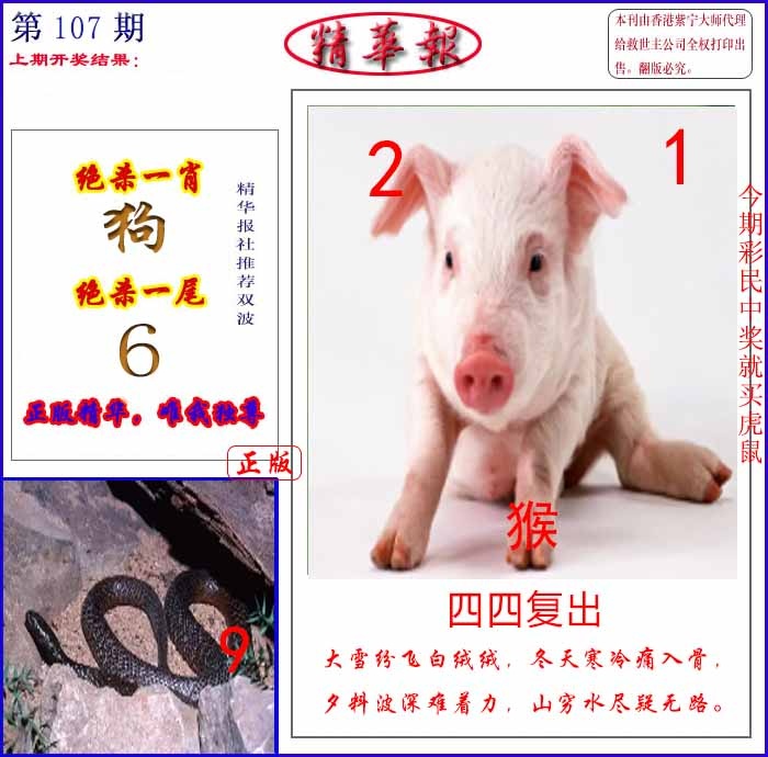 六合彩107期新精华报报