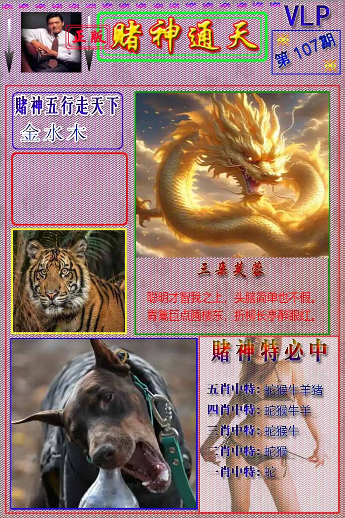 六合彩107期赌神通天报