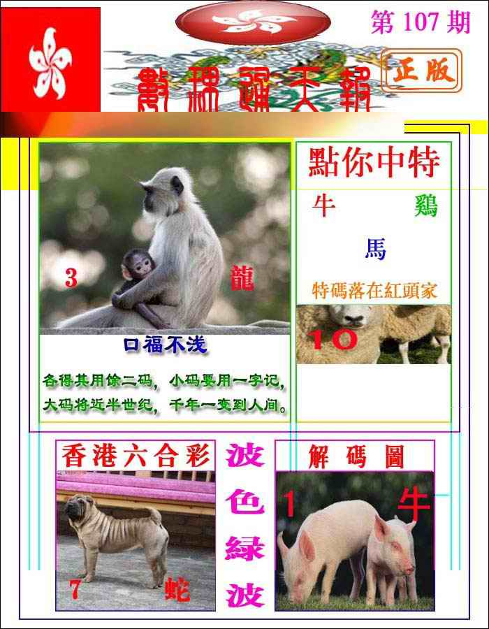 六合彩107期数理通天