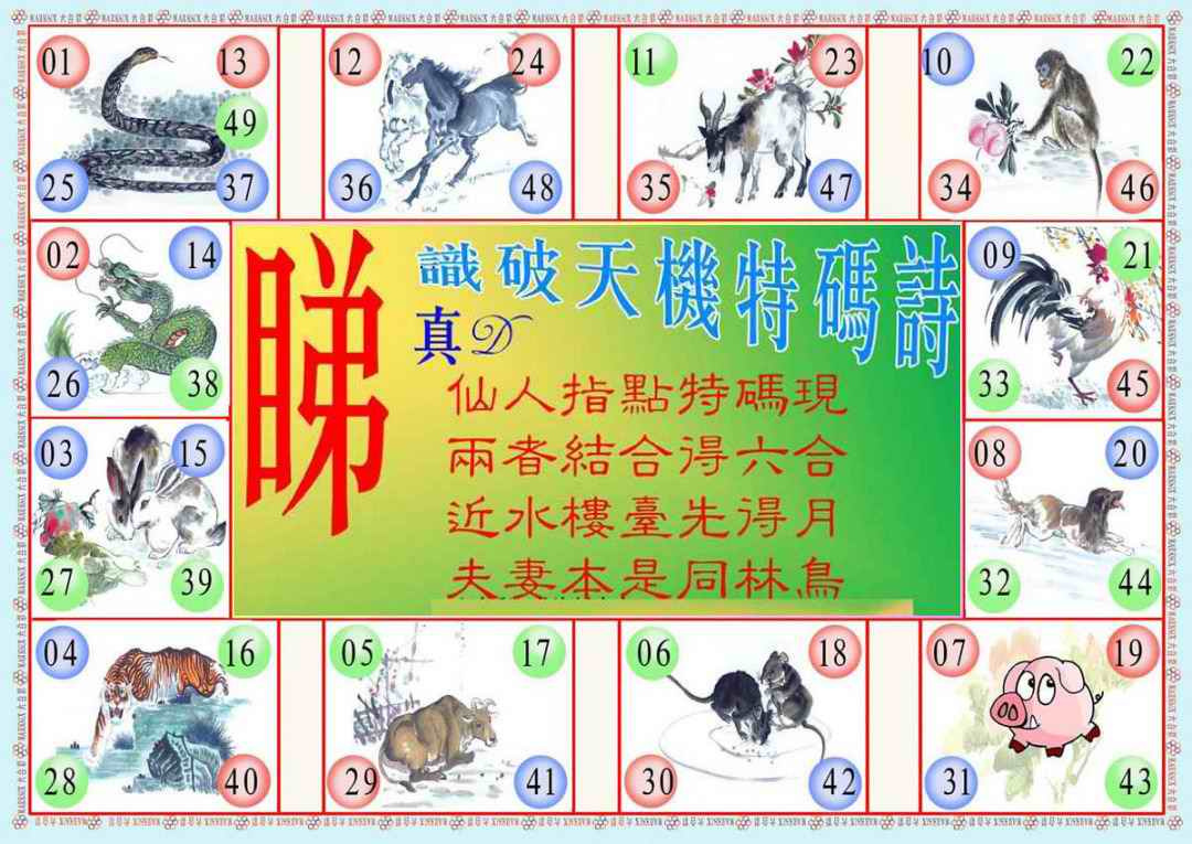 六合彩107期识破天机B版