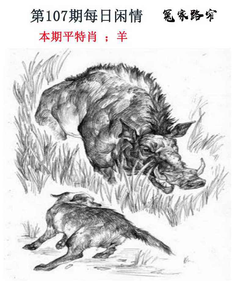 六合彩107期每日闲情