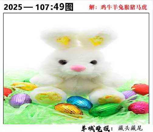 六合彩107期49图
