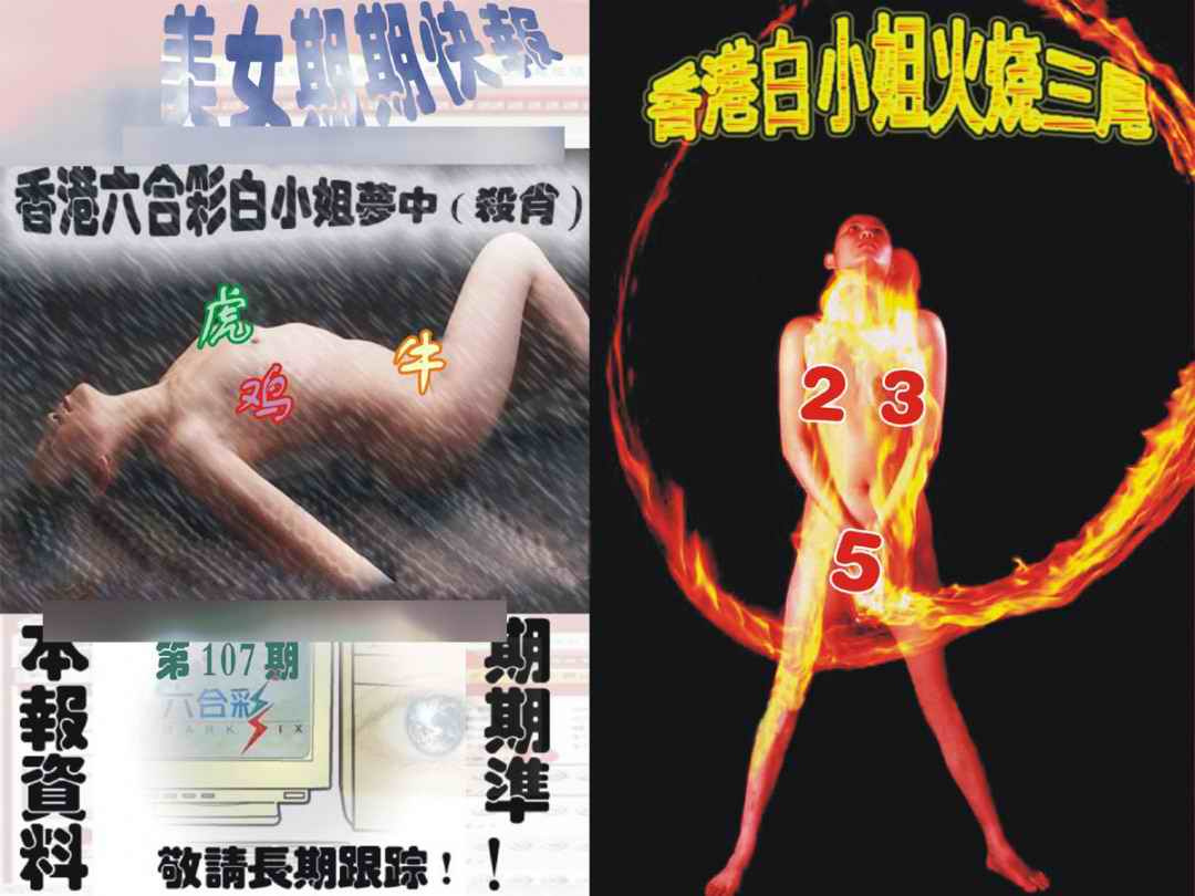 六合彩107期环球美女特码报
