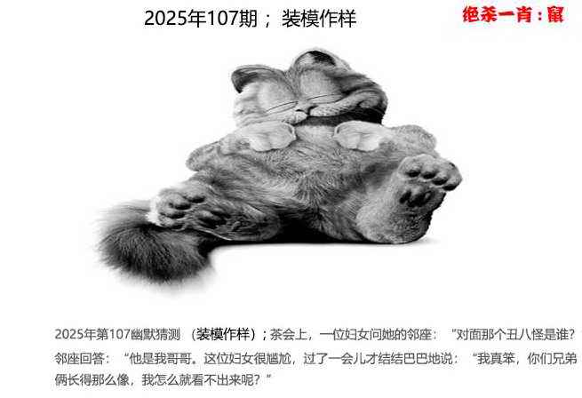 六合彩107期幽默猜测
