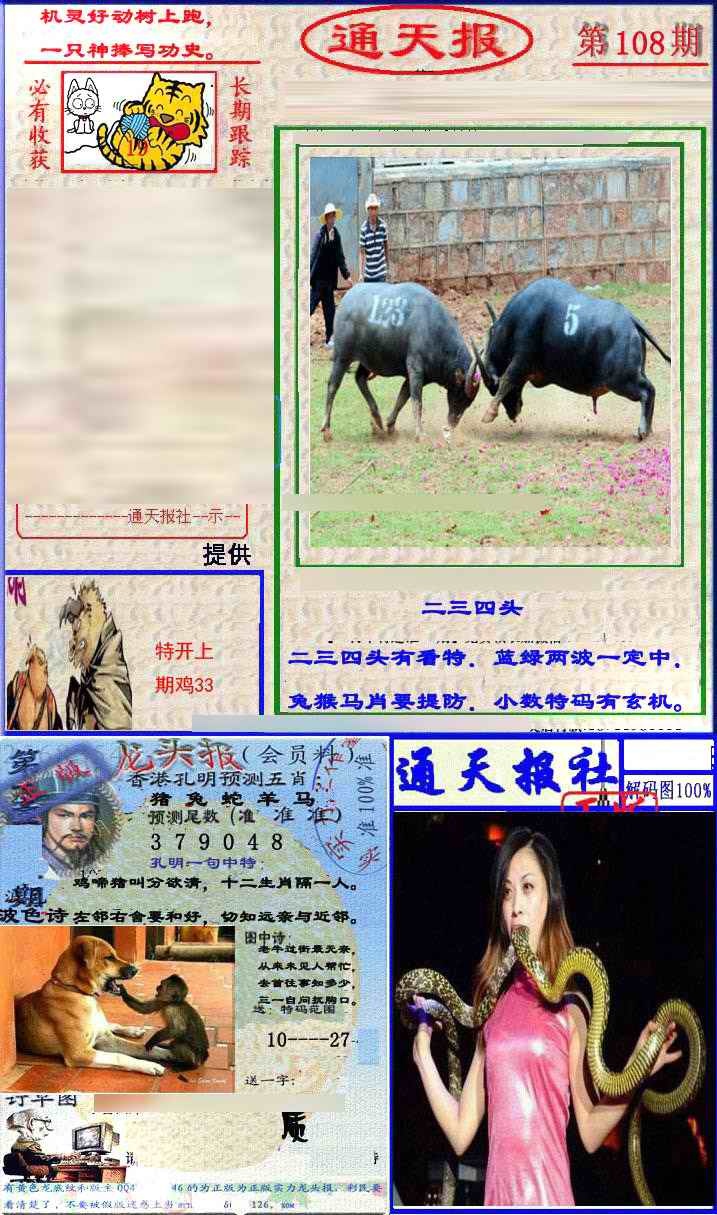 六合彩108期实力通天报