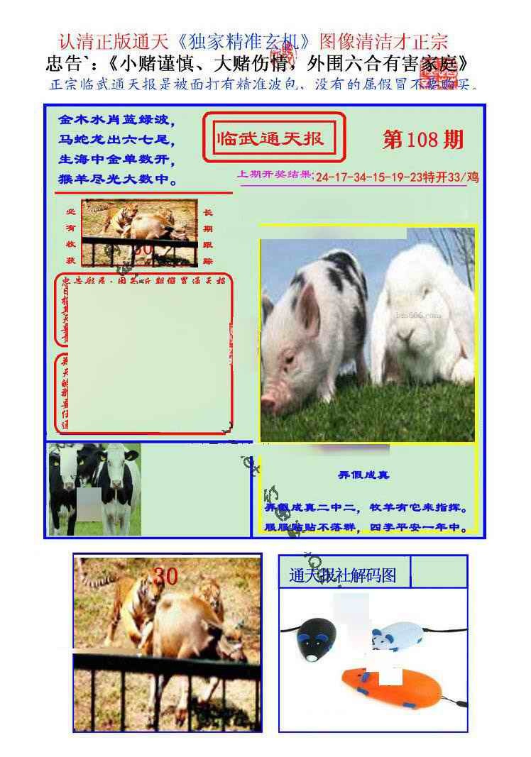 六合彩108期临武通天报