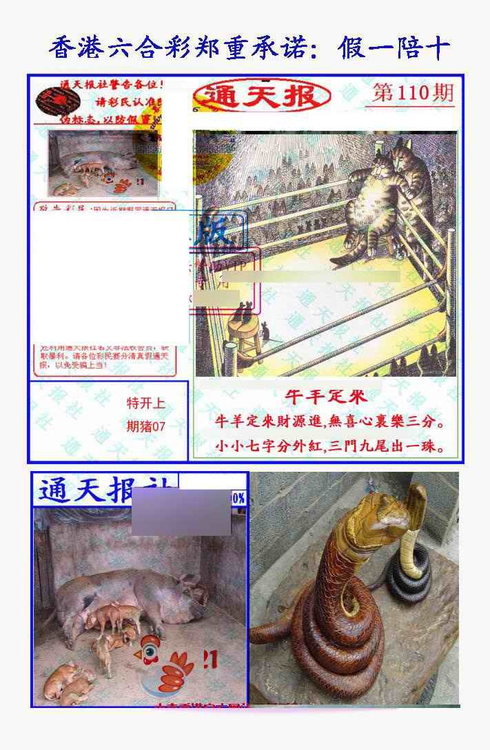 六合彩110期假一陪十通天报