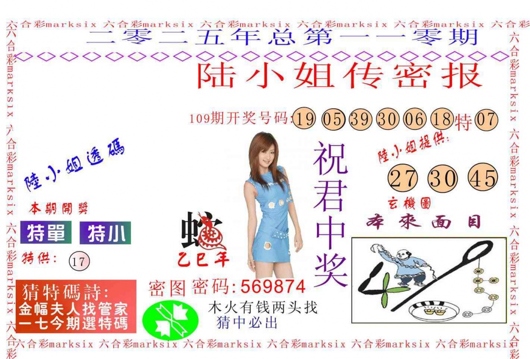 六合彩110期陆小姐传密A
