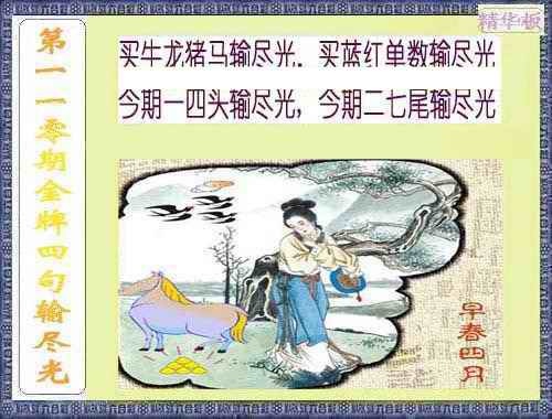 六合彩110期金牌四句输尽光