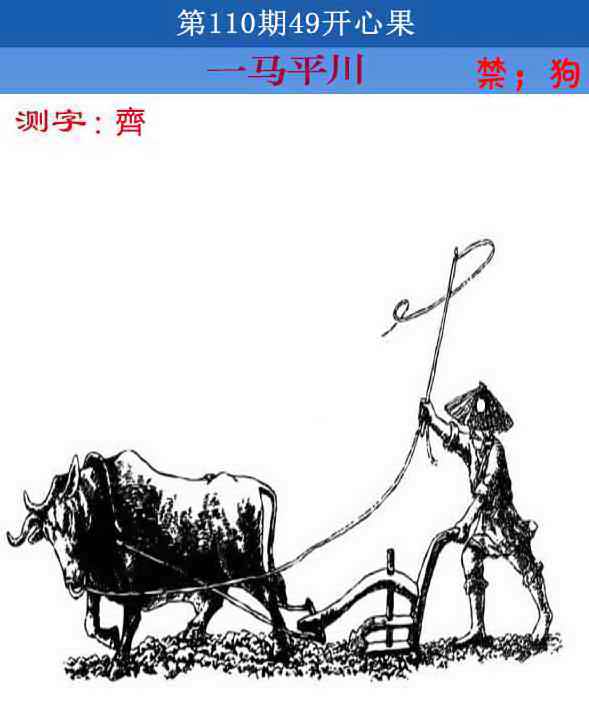 六合彩110期四九开心果