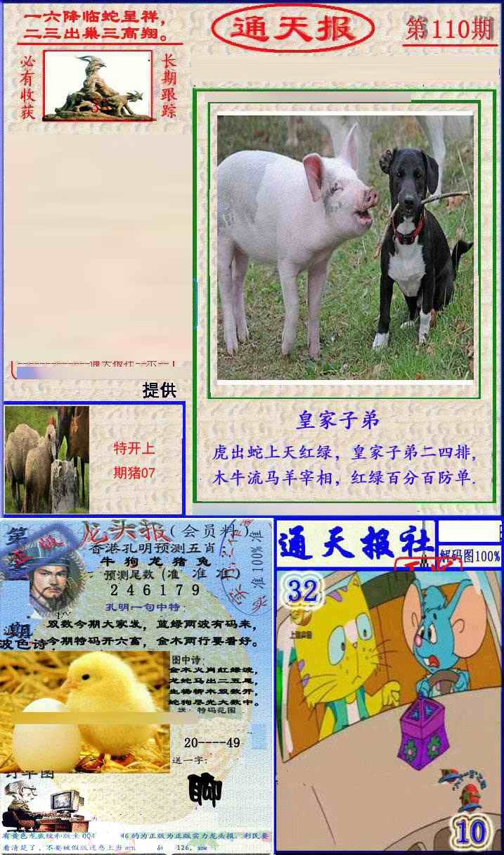 六合彩110期实力通天报