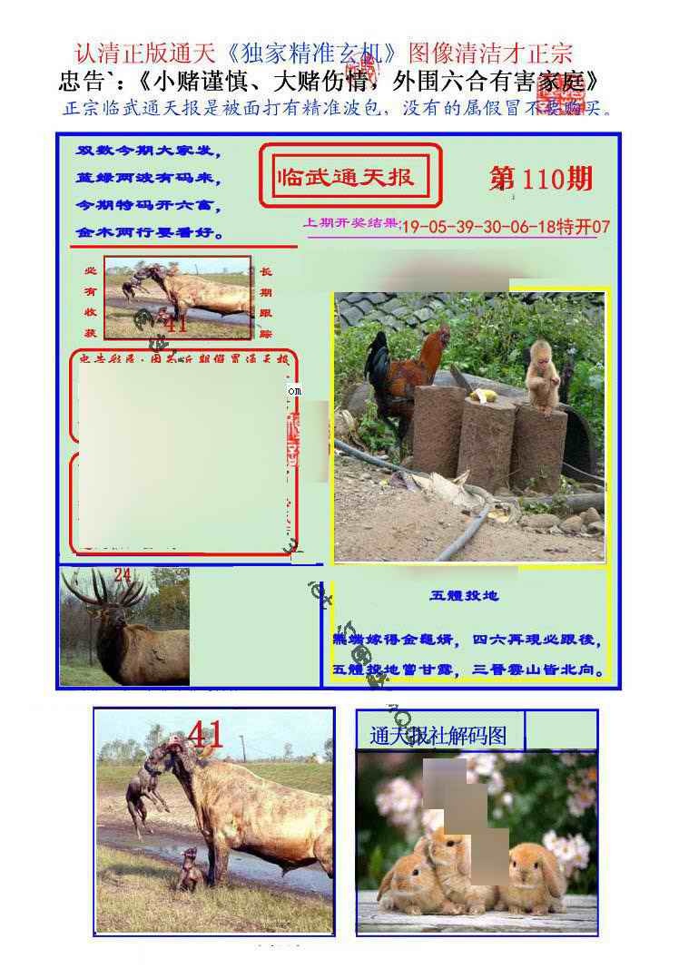 六合彩110期临武通天报