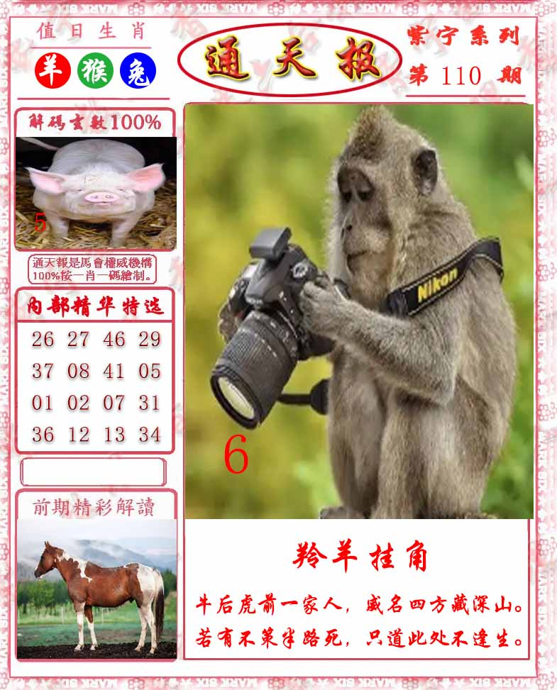 六合彩110期救通报