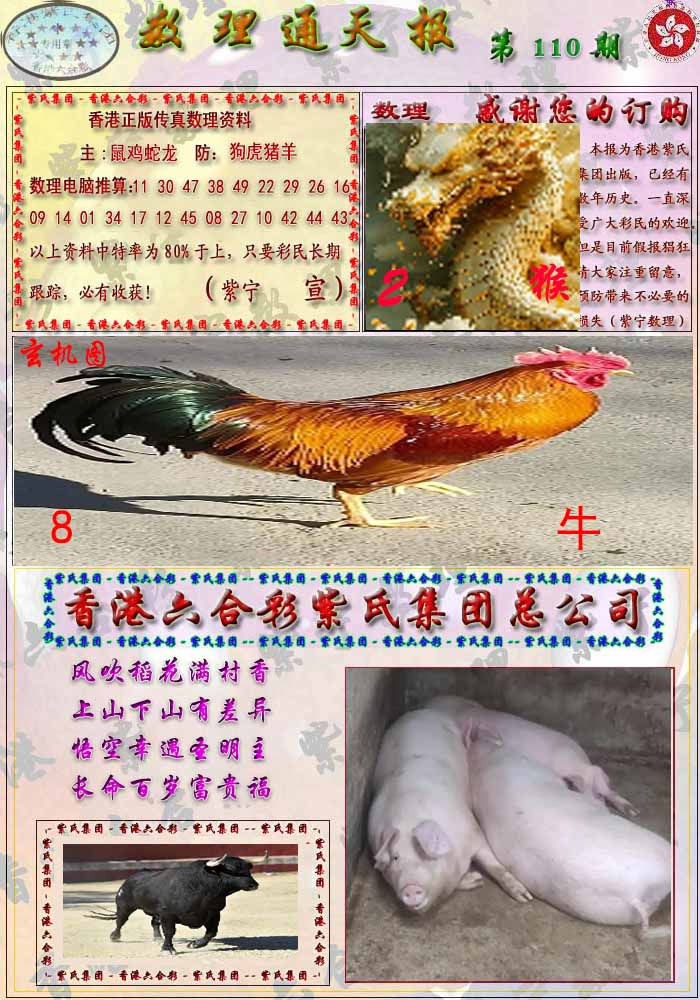 六合彩110期数通报