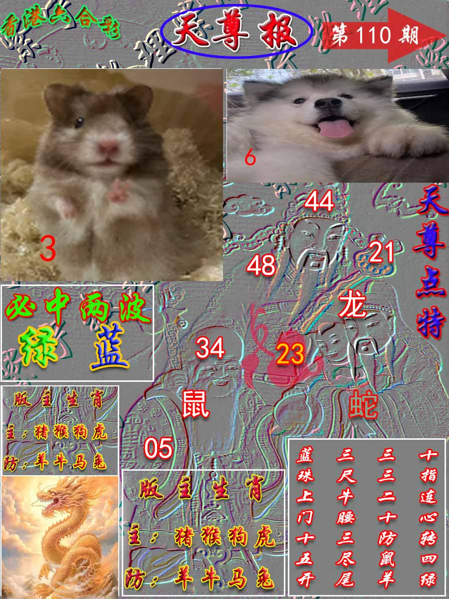 六合彩110期天尊报