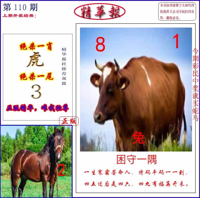 六合彩110期新精华报报