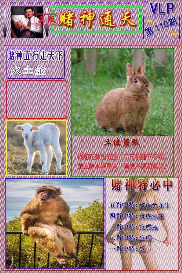 六合彩110期赌神通天报