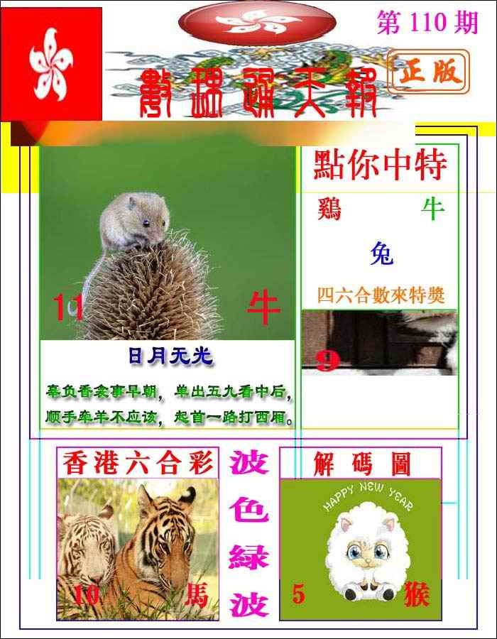六合彩110期数理通天