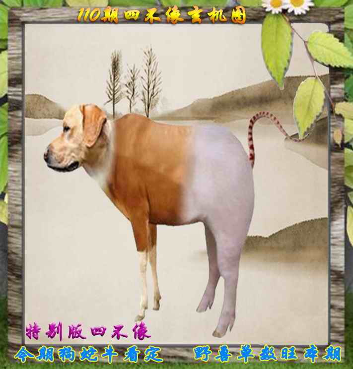 六合彩110期四不像特别版